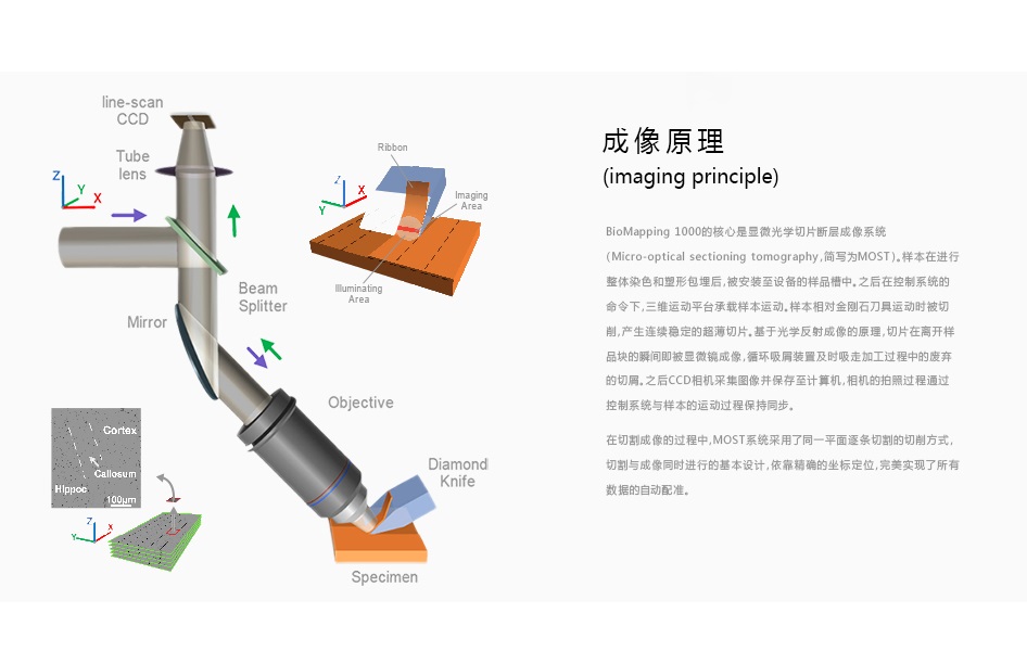 无标题2.jpg