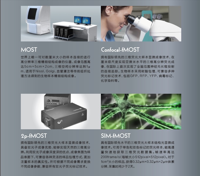 无标题.jpg